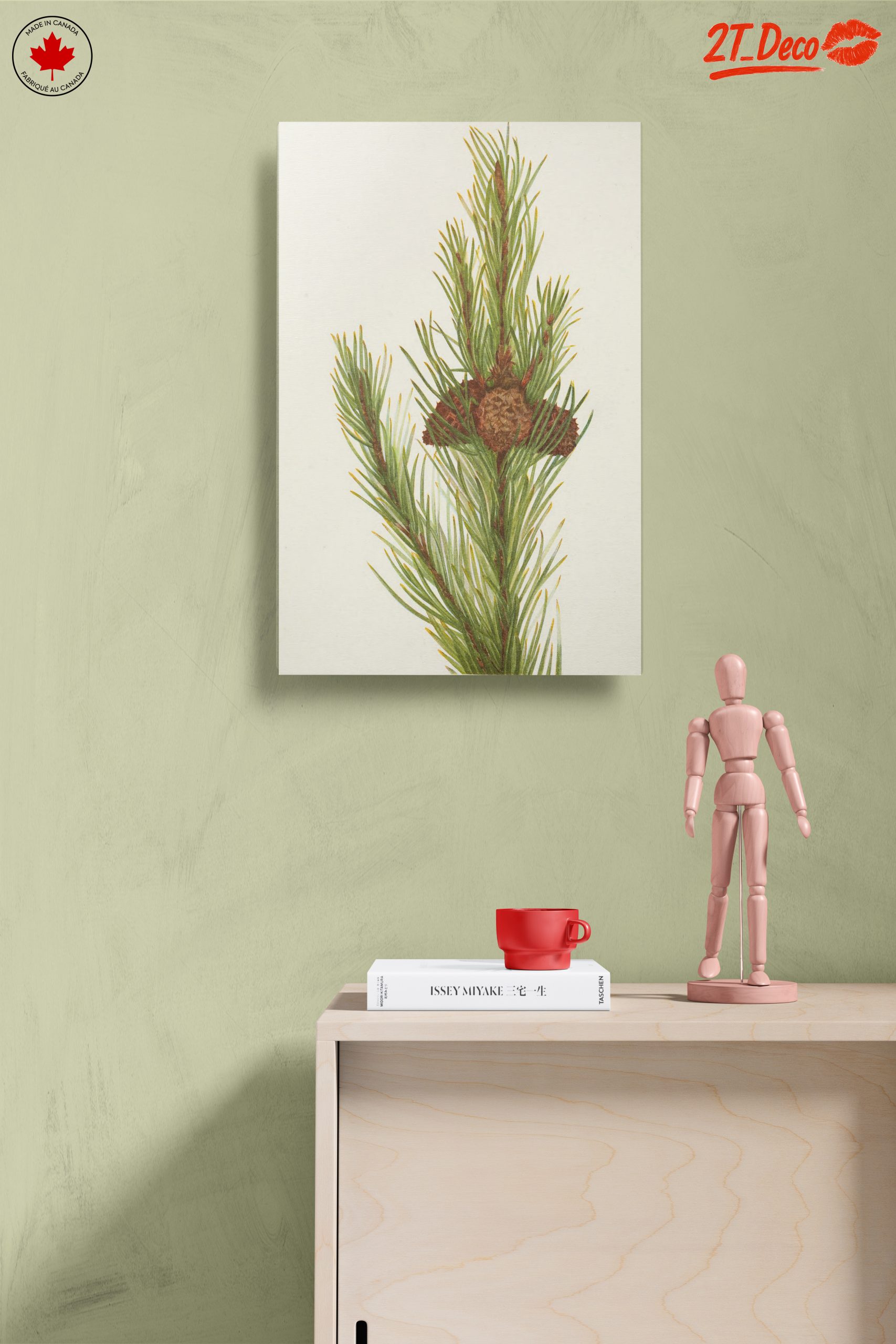 Detailed Botanical Illustration of Pine - Image 14