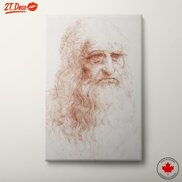 Leonardo da Vinci Artistic Portrait