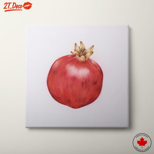 Detailed Abstract Pomegranate Art