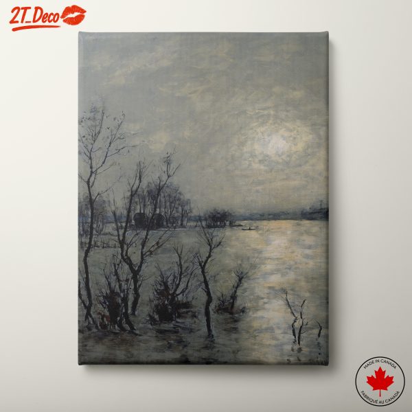 Winter Reflections in a Serene Landscape