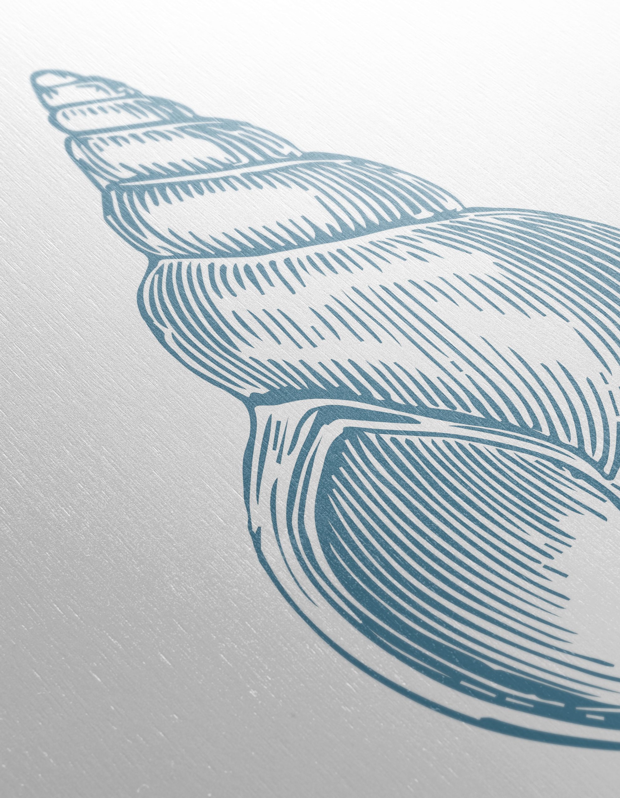 Stylized Shell Art for Marine Decor - Image 12