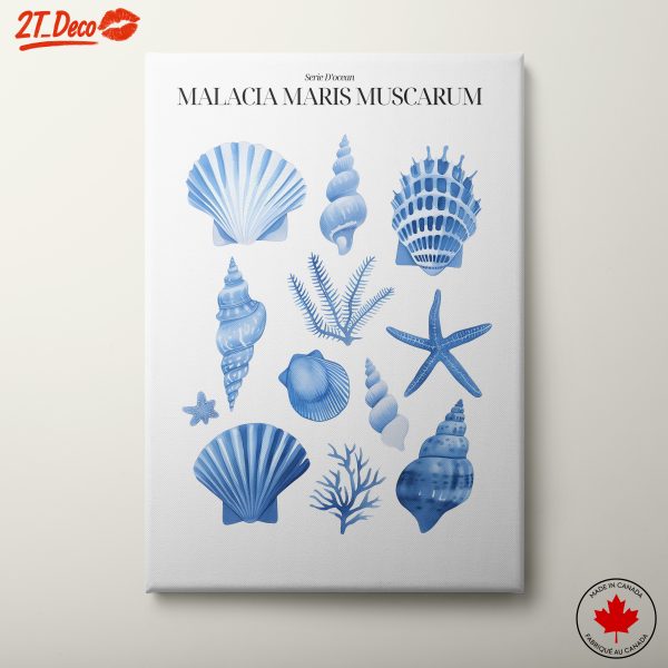 Abstract Marine Life Illustrations in Blue