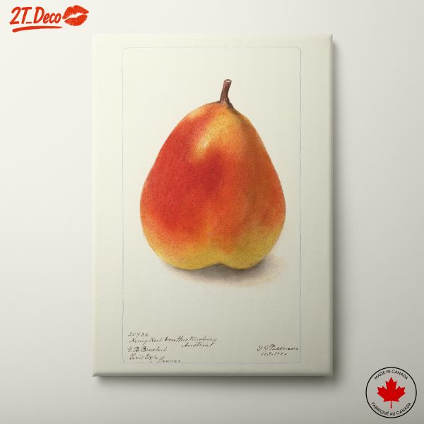 Realistic Pear Painting with Detailed Textures