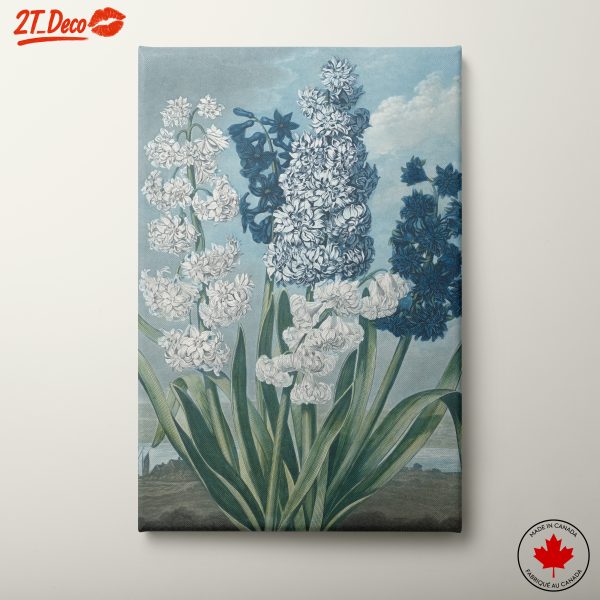 Elegant Floral Botanical Art Print