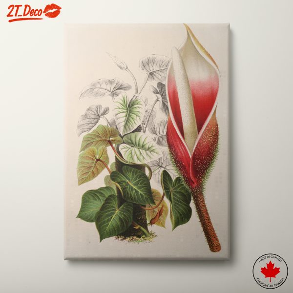 Detailed Botanical Illustration of Exotic Plants