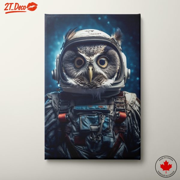 Owl Astronaut Adventure in Space
