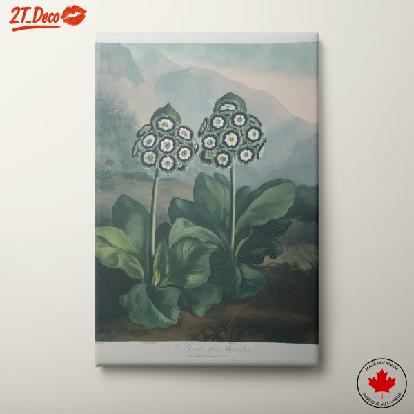 Stunning Botanical Artwork of Fresh Green Flowers
