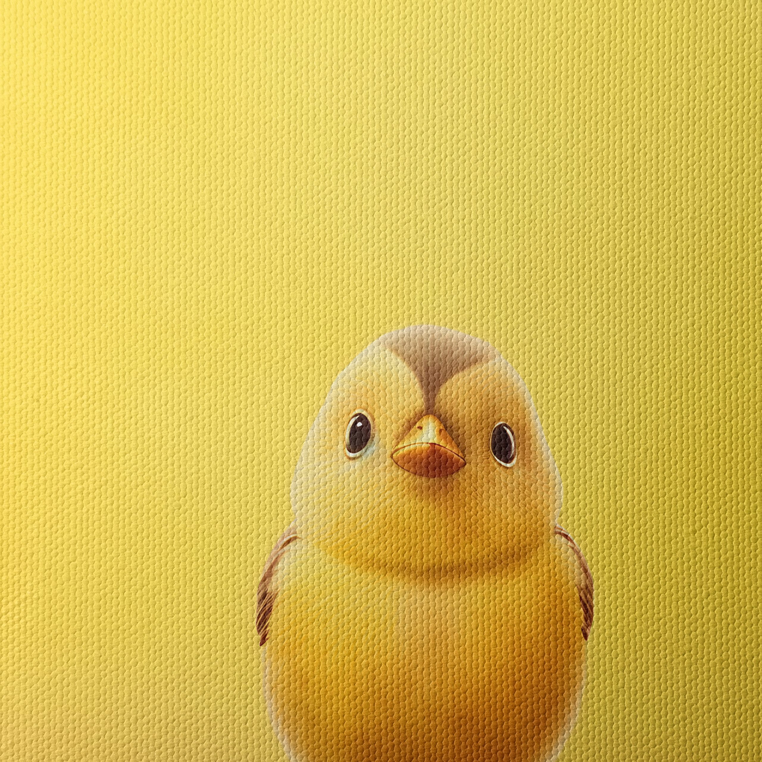 Adorable Chick Illustration on Bright Yellow Background - Image 4
