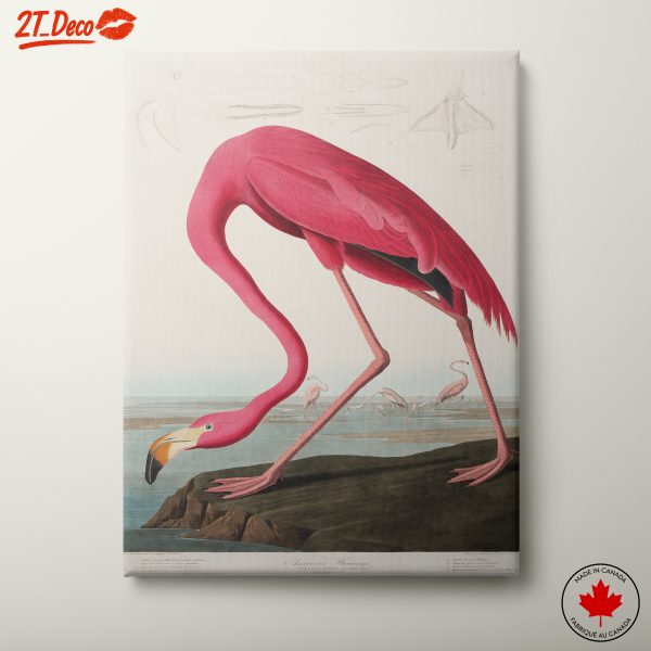 Flamingo Tropical Illustration Art