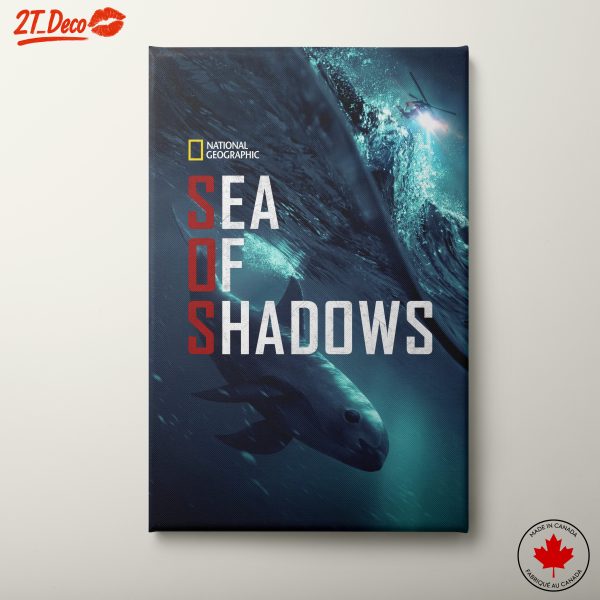 Sea of Shadows Featuring Aquatic Life