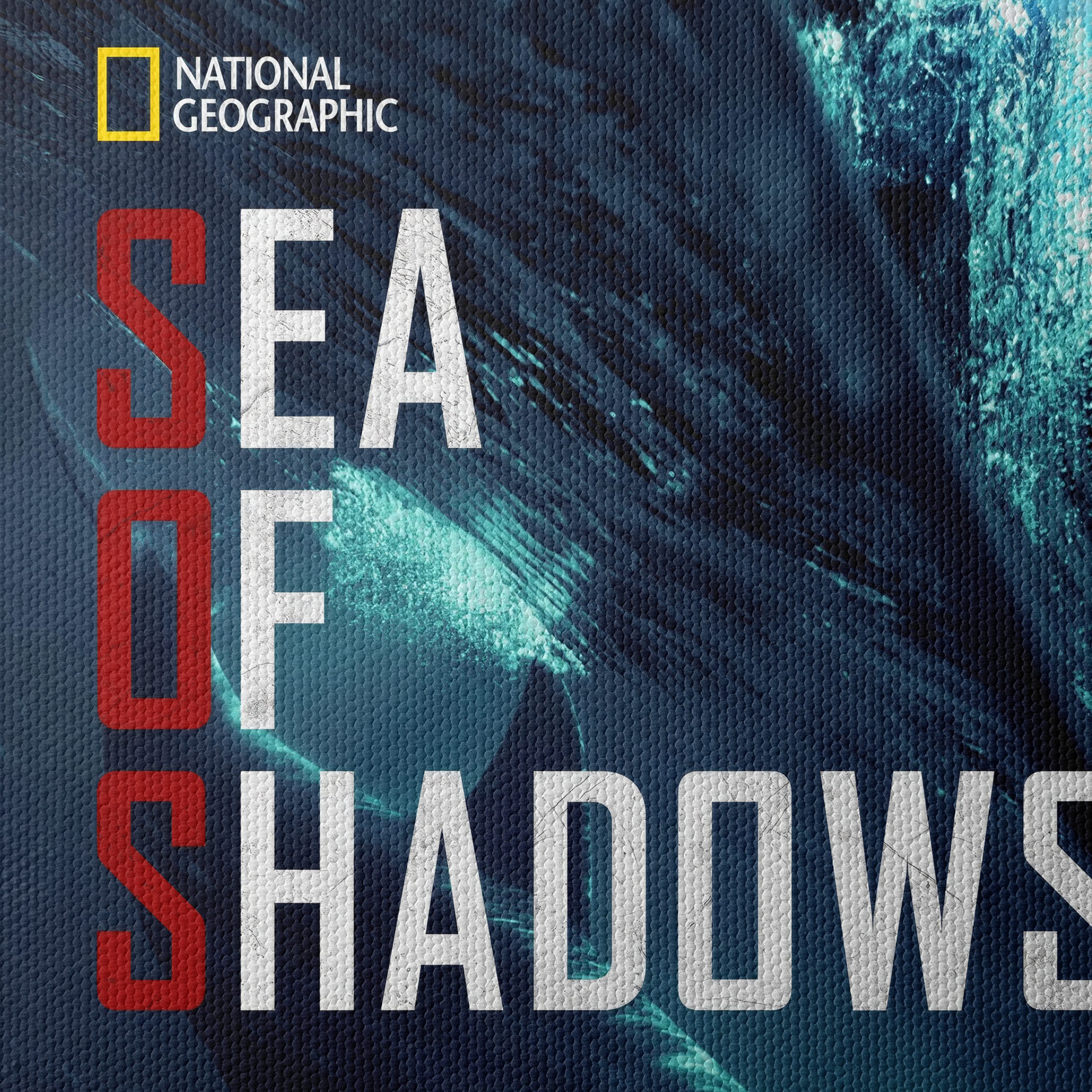 Sea of Shadows Featuring Aquatic Life - Image 4