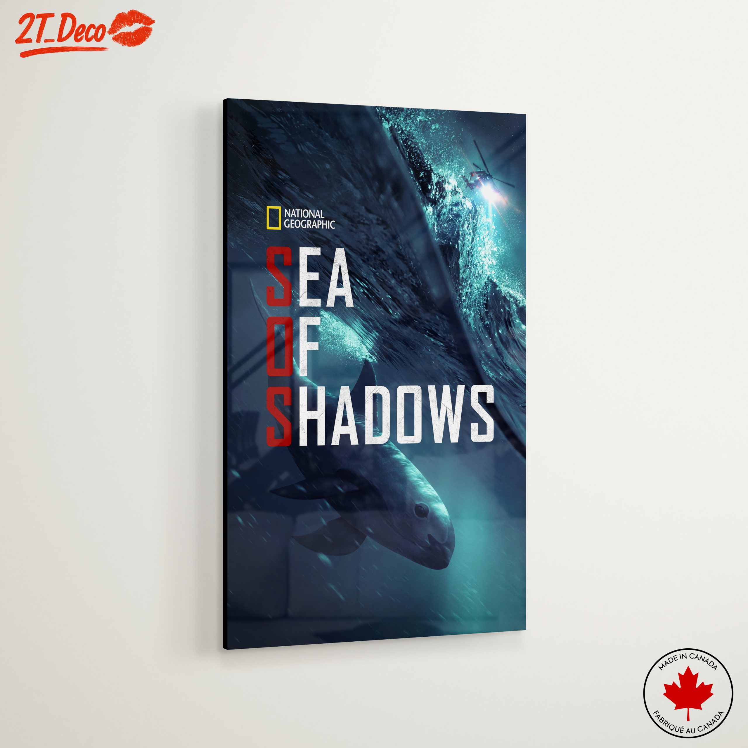 Sea of Shadows Featuring Aquatic Life - Image 6