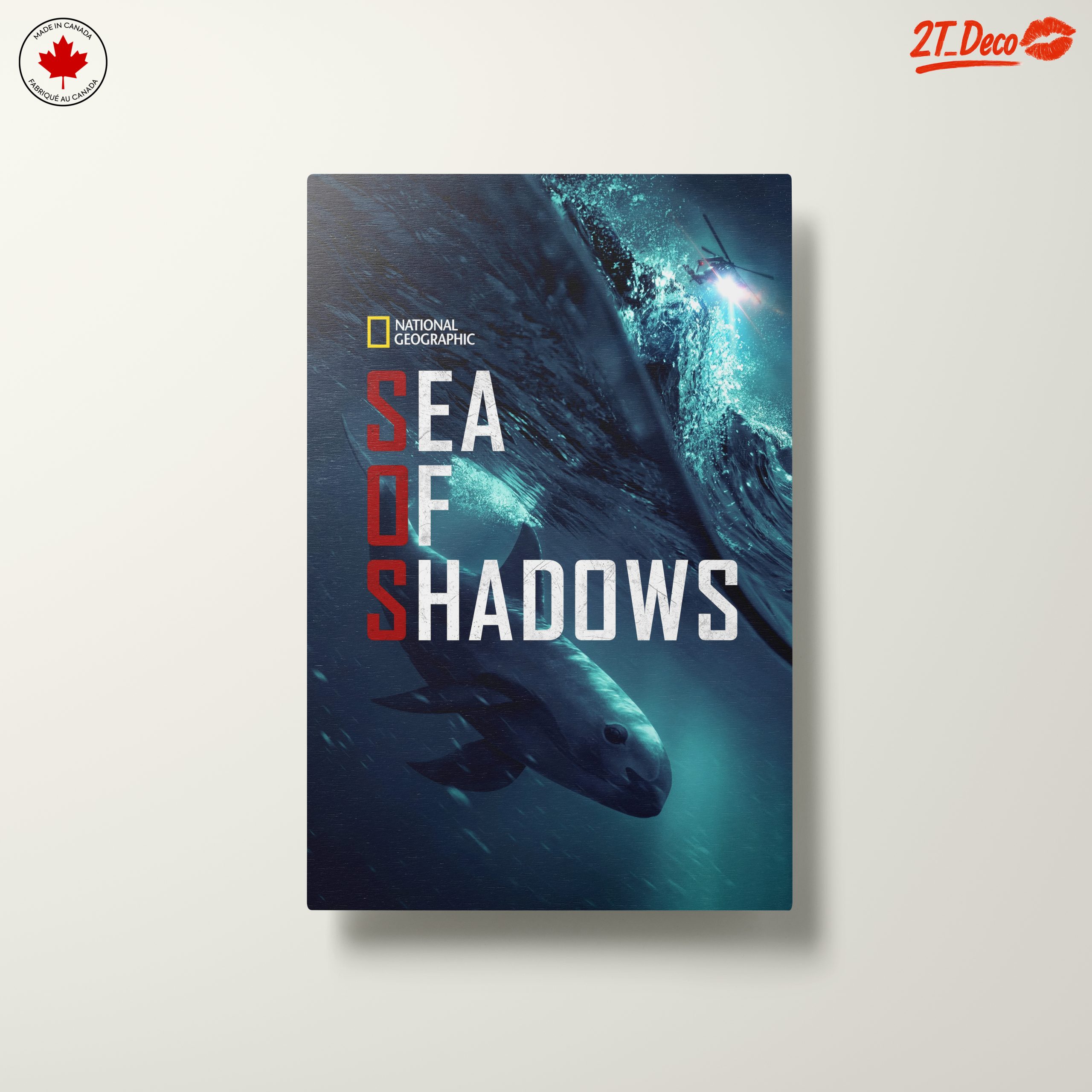 Sea of Shadows Featuring Aquatic Life - Image 10