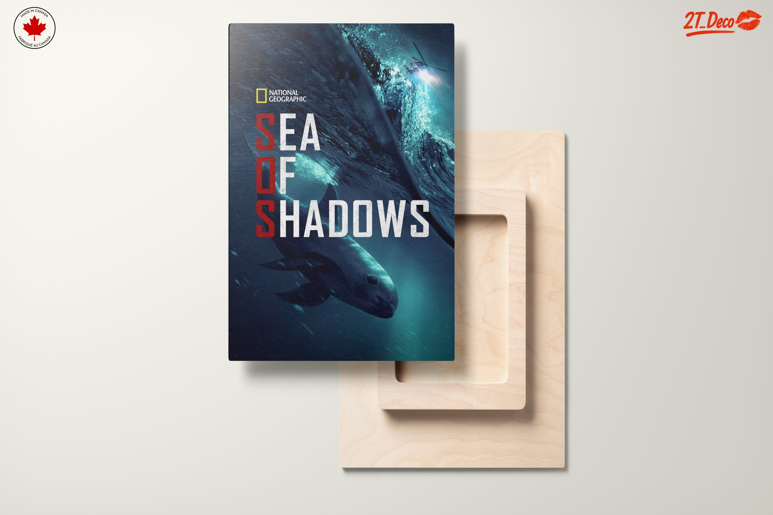 Sea of Shadows Featuring Aquatic Life - Image 11
