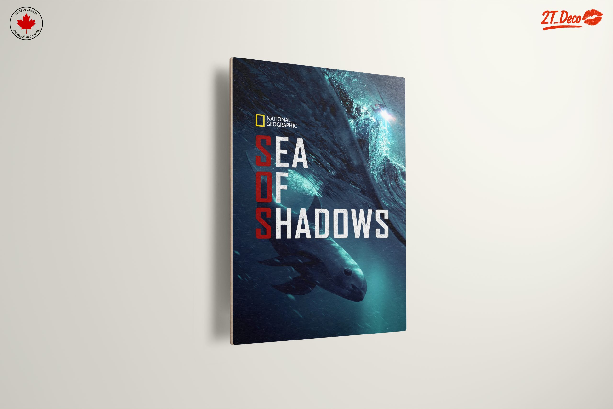 Sea of Shadows Featuring Aquatic Life - Image 13