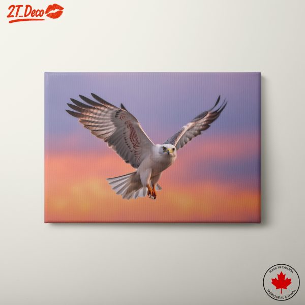 Majestic Bird in Flight Against Colorful Sky
