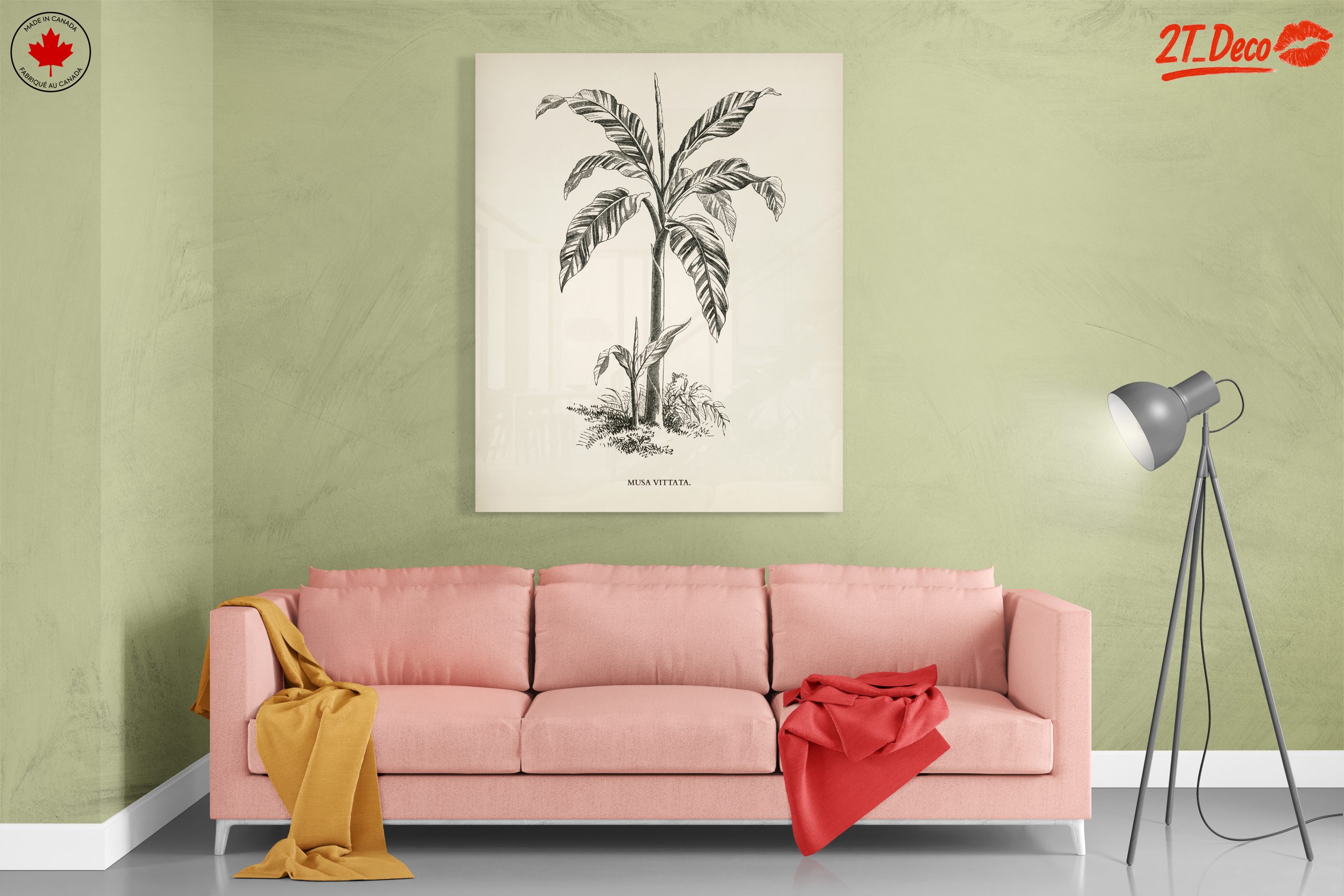 Musa Vittata Botanical Illustration - Image 7