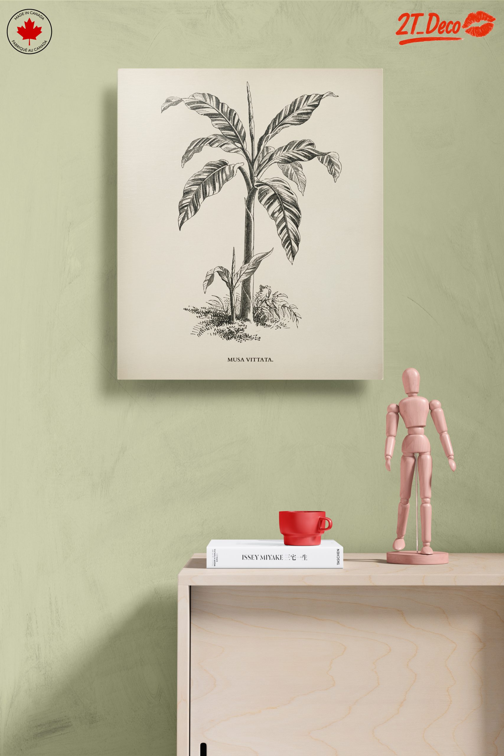 Musa Vittata Botanical Illustration - Image 14