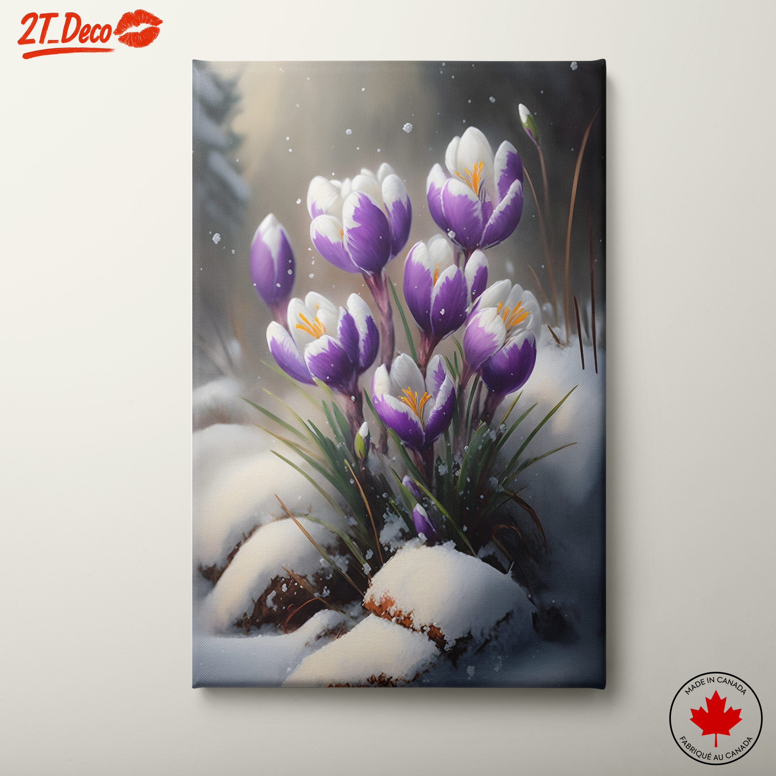 Vibrant Crocus Flowers in Snow