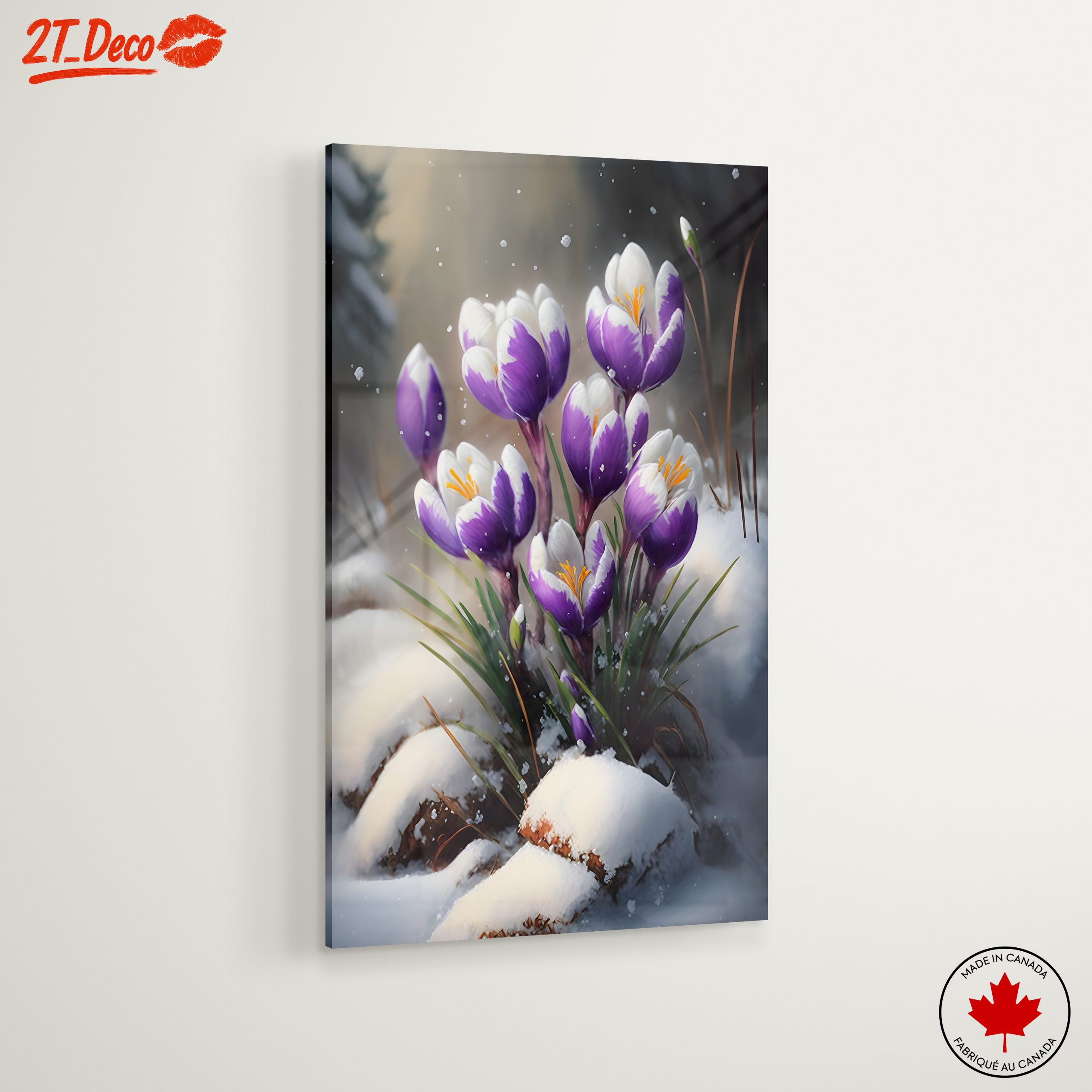 Vibrant Crocus Flowers in Snow - Image 6
