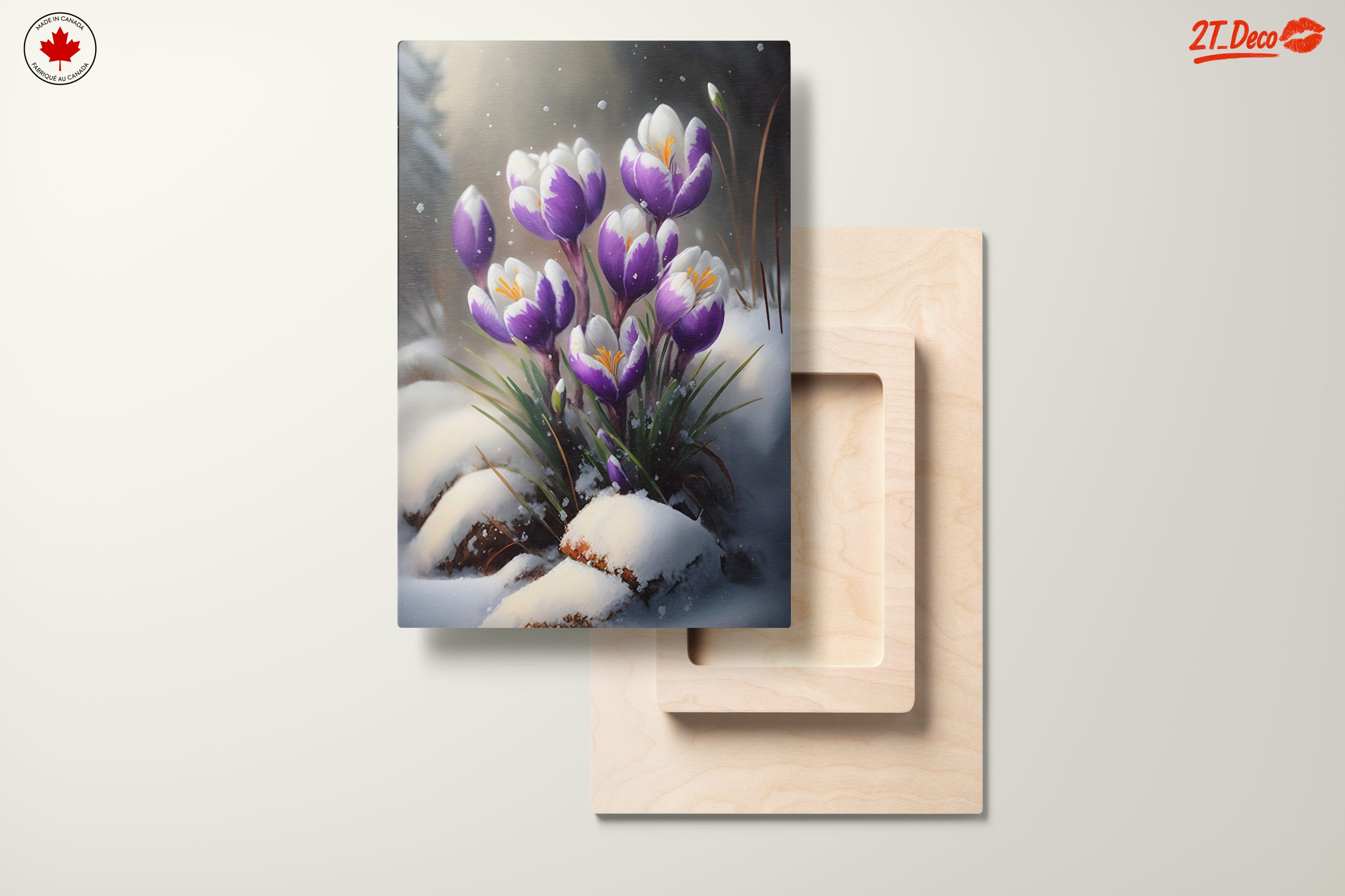 Vibrant Crocus Flowers in Snow - Image 11
