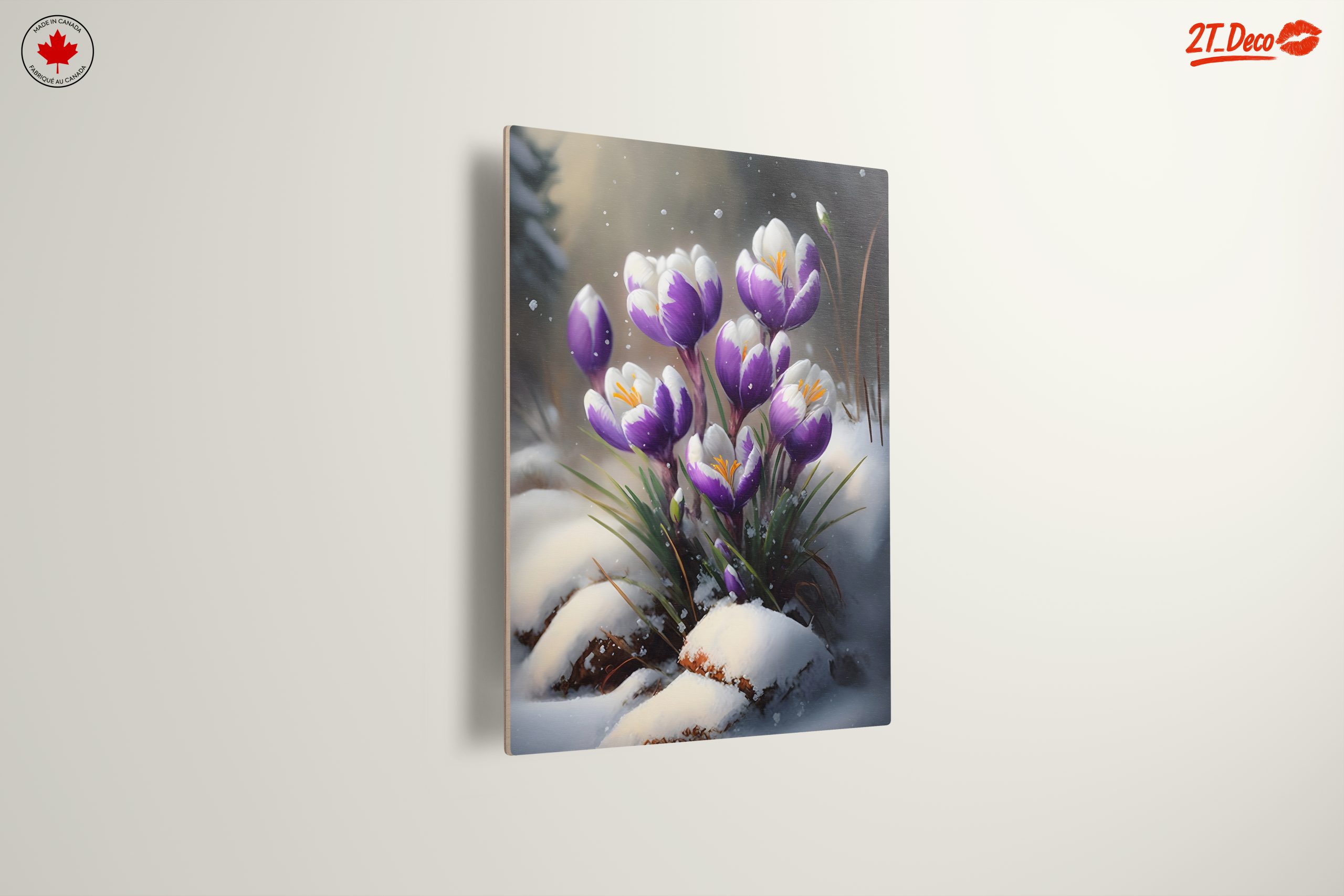 Vibrant Crocus Flowers in Snow - Image 13