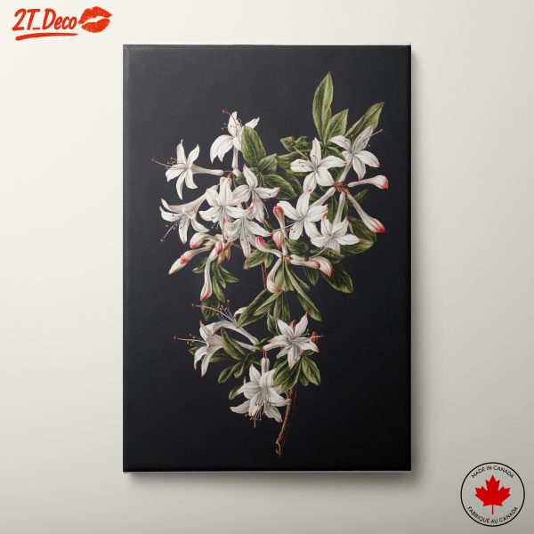 Elegant Botanical Floral Artwork 3