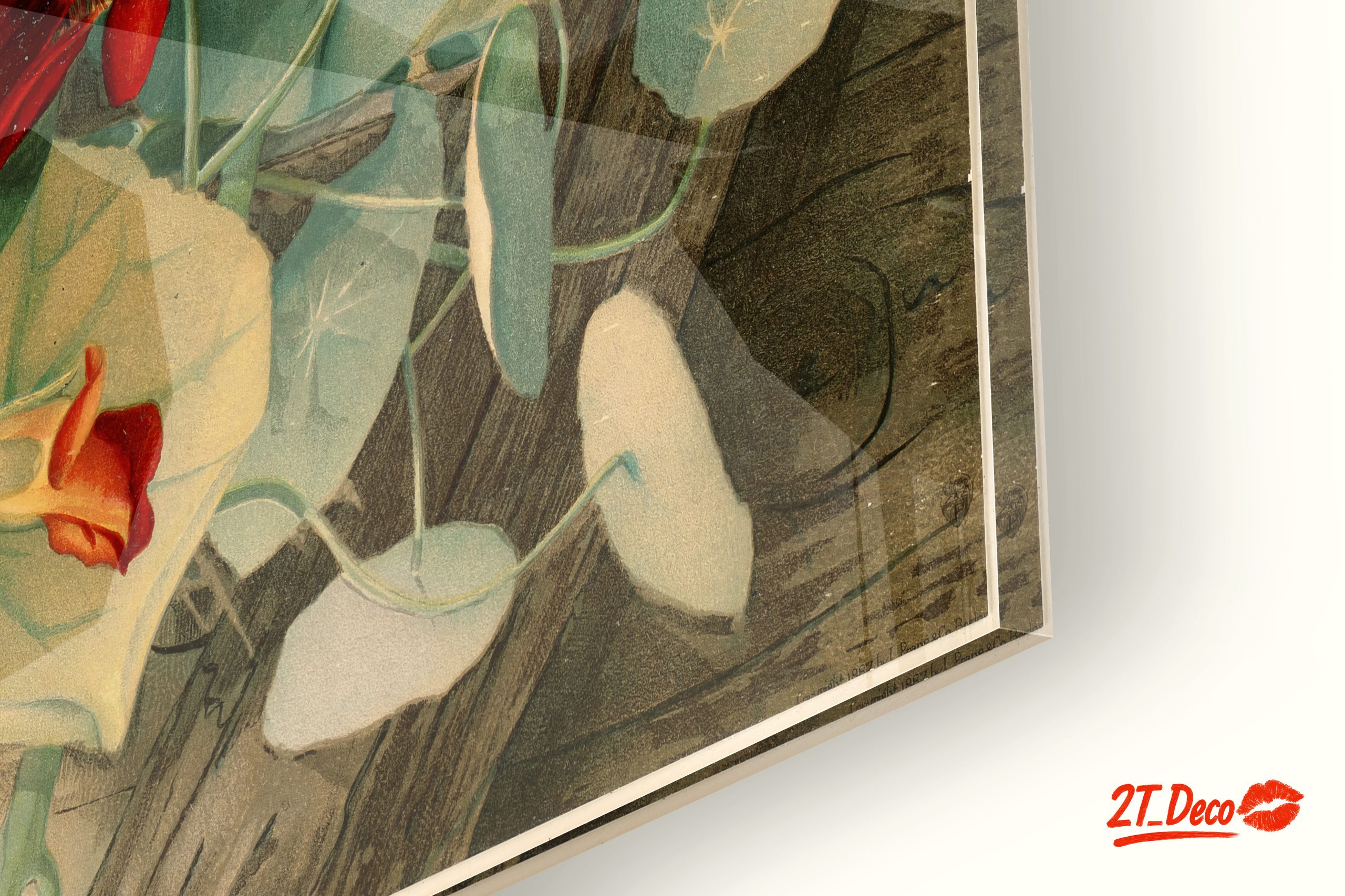 Vibrant Botanical Artwork with Colorful Flowers - Image 9