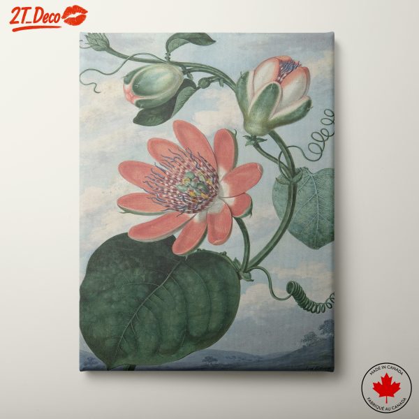 Vibrant Botanical Floral Artwork 6