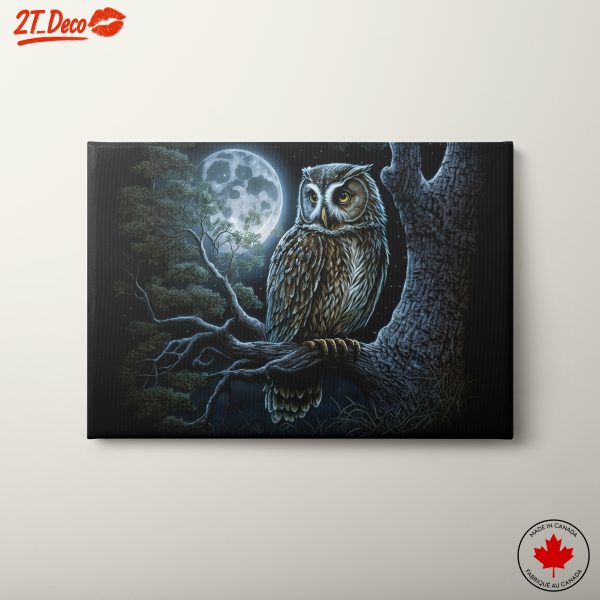 Majestic Owl Under the Moonlight 3