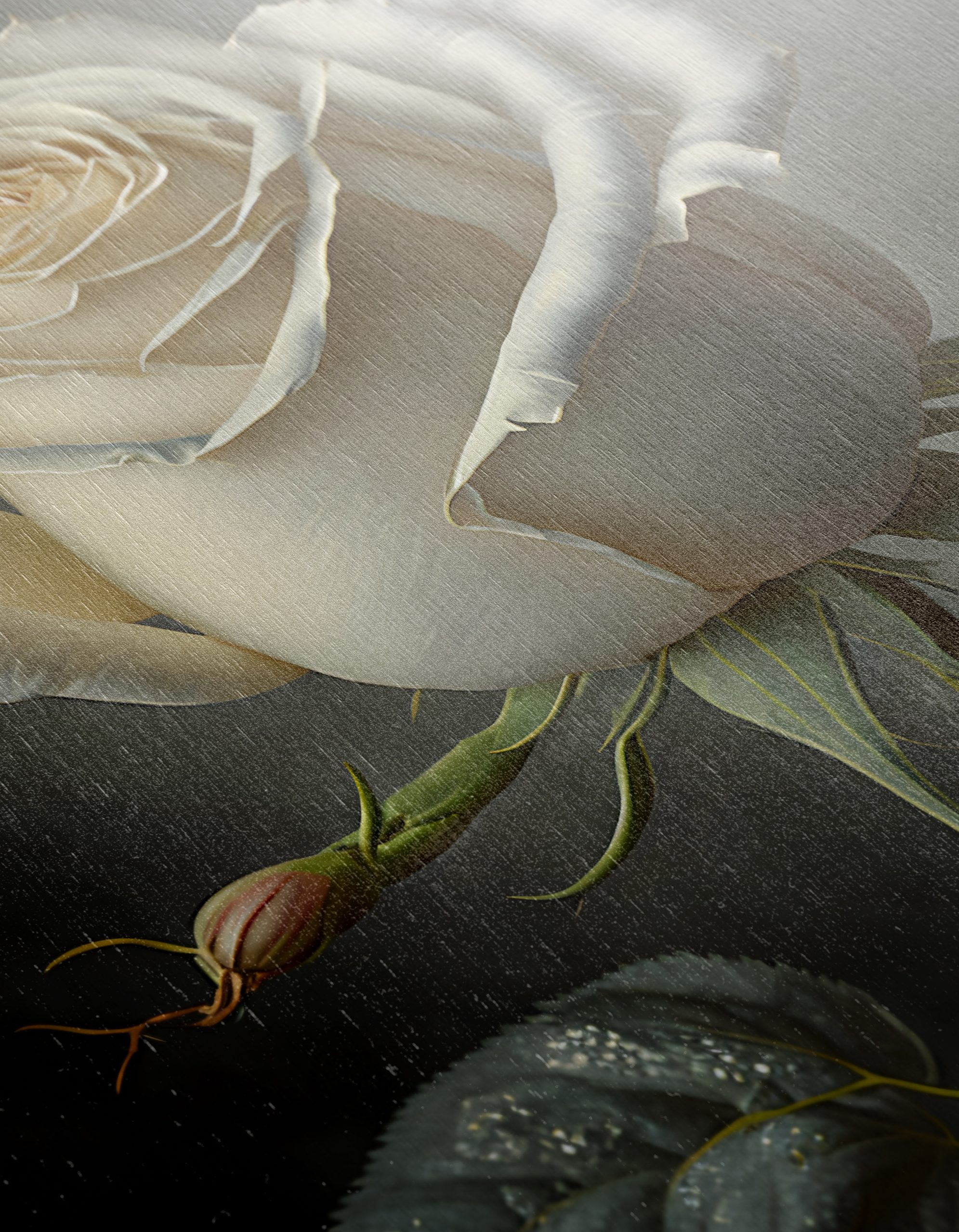 Elegant White Rose Floral Art - Image 12