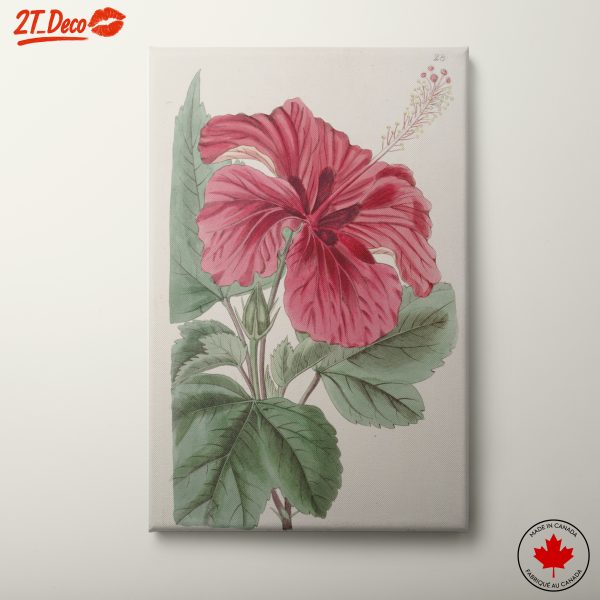 Vibrant Hibiscus Flower Artwork