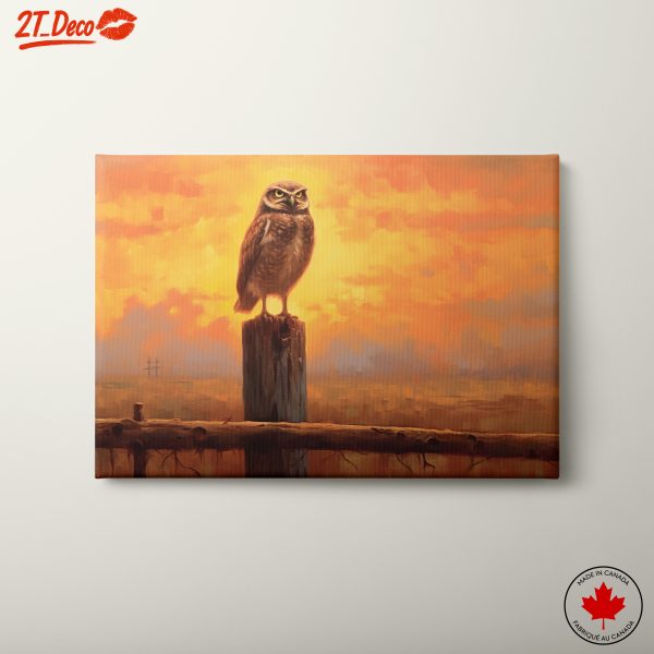 Majestic Owl at Sunset