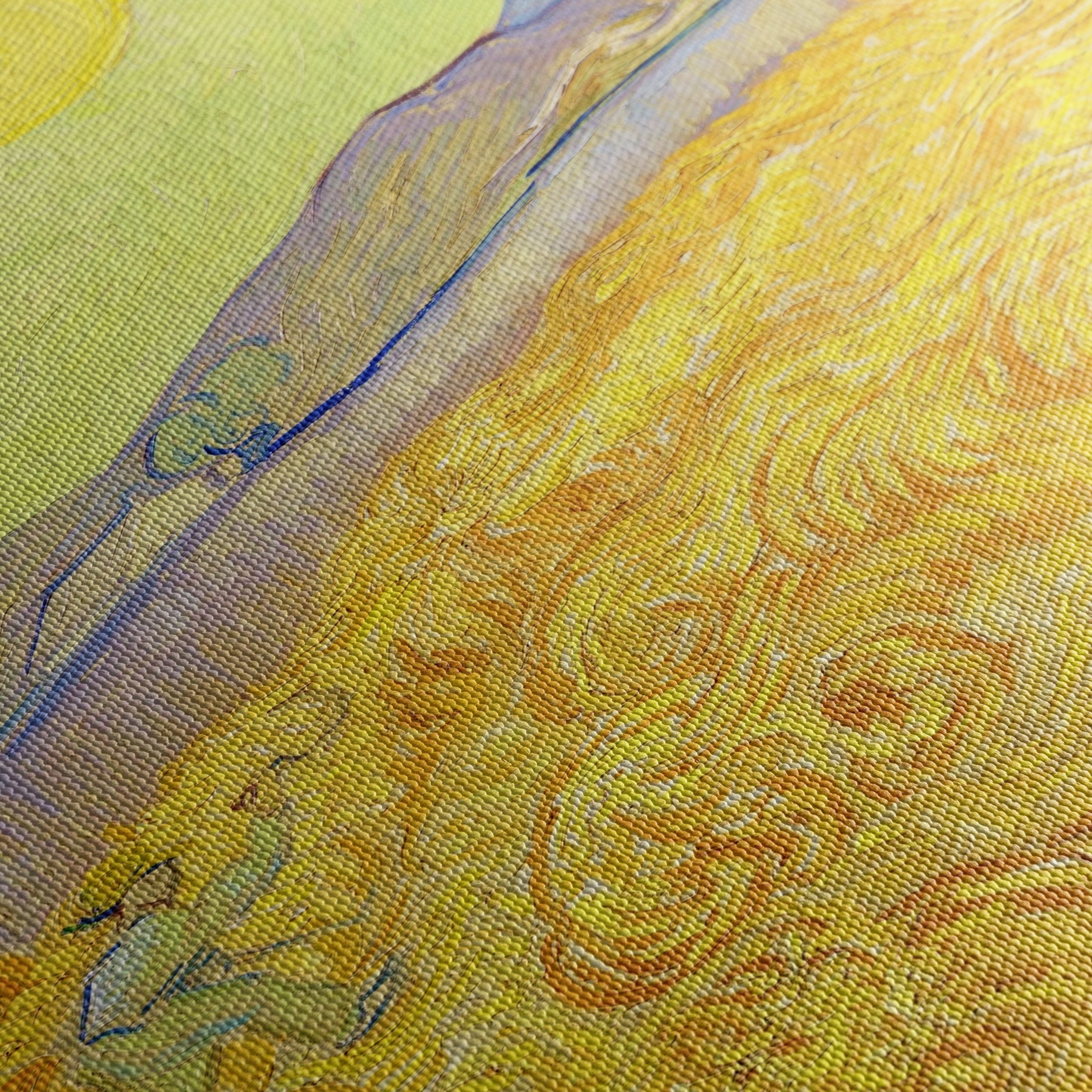 Vibrant Landscape with Wheat Fields - Image 5