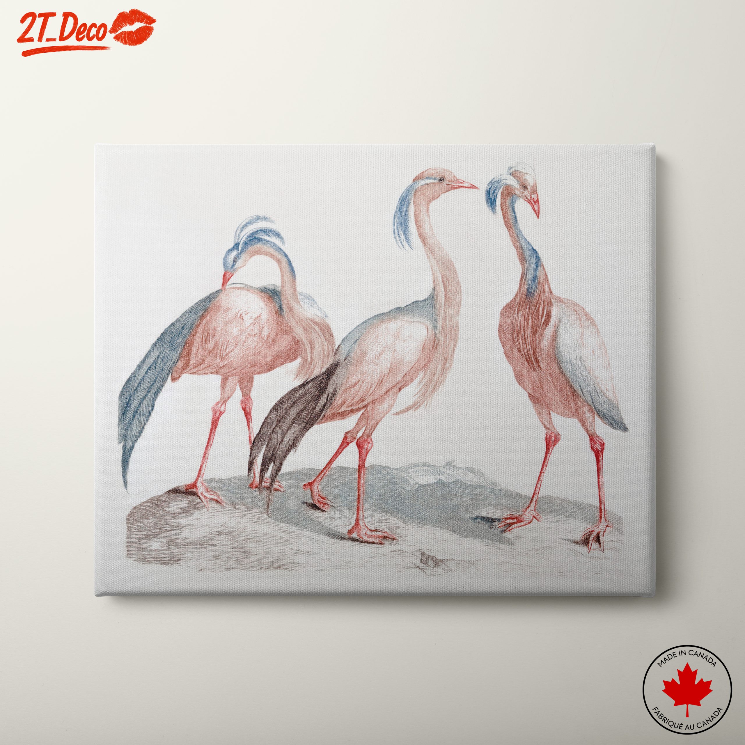 Elegant Bird Illustrations in Soft Hues