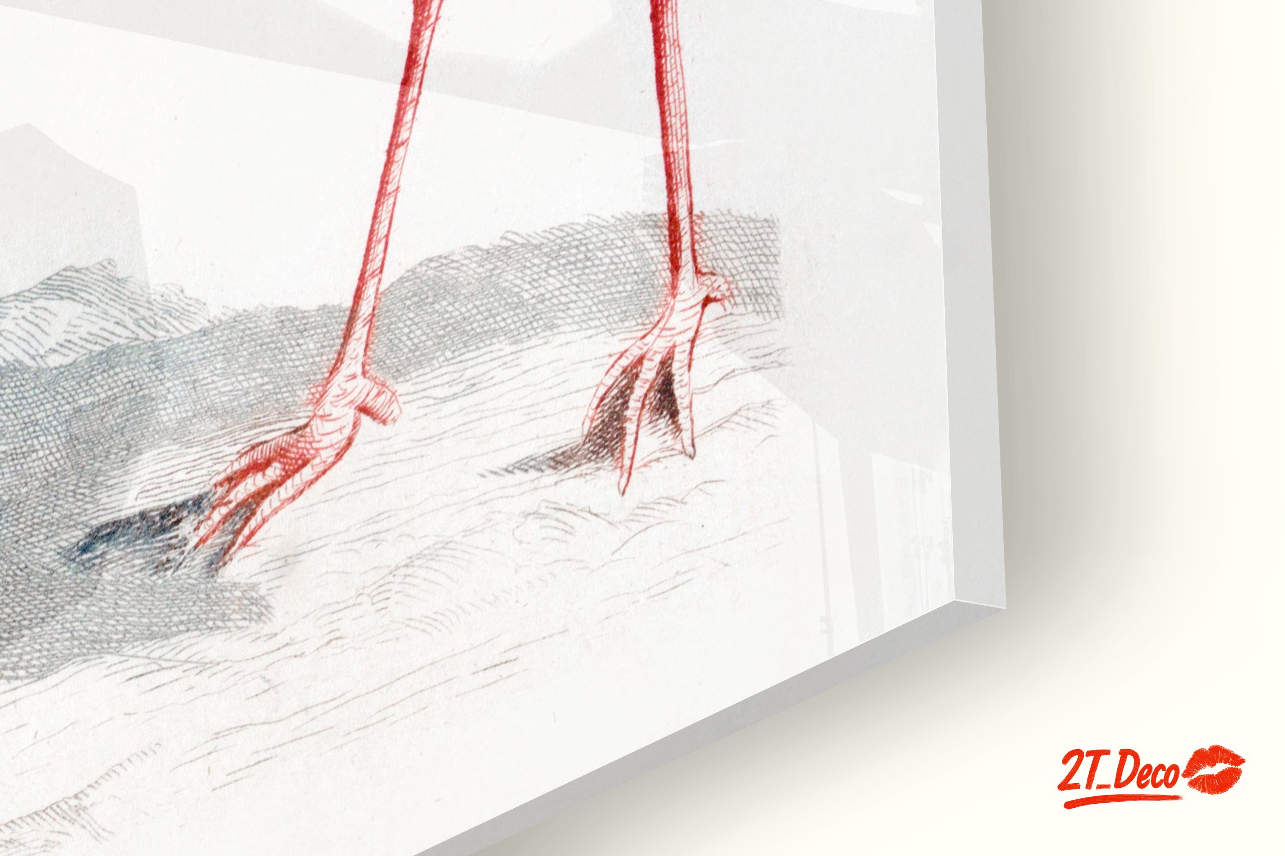 Elegant Bird Illustrations in Soft Hues - Image 9