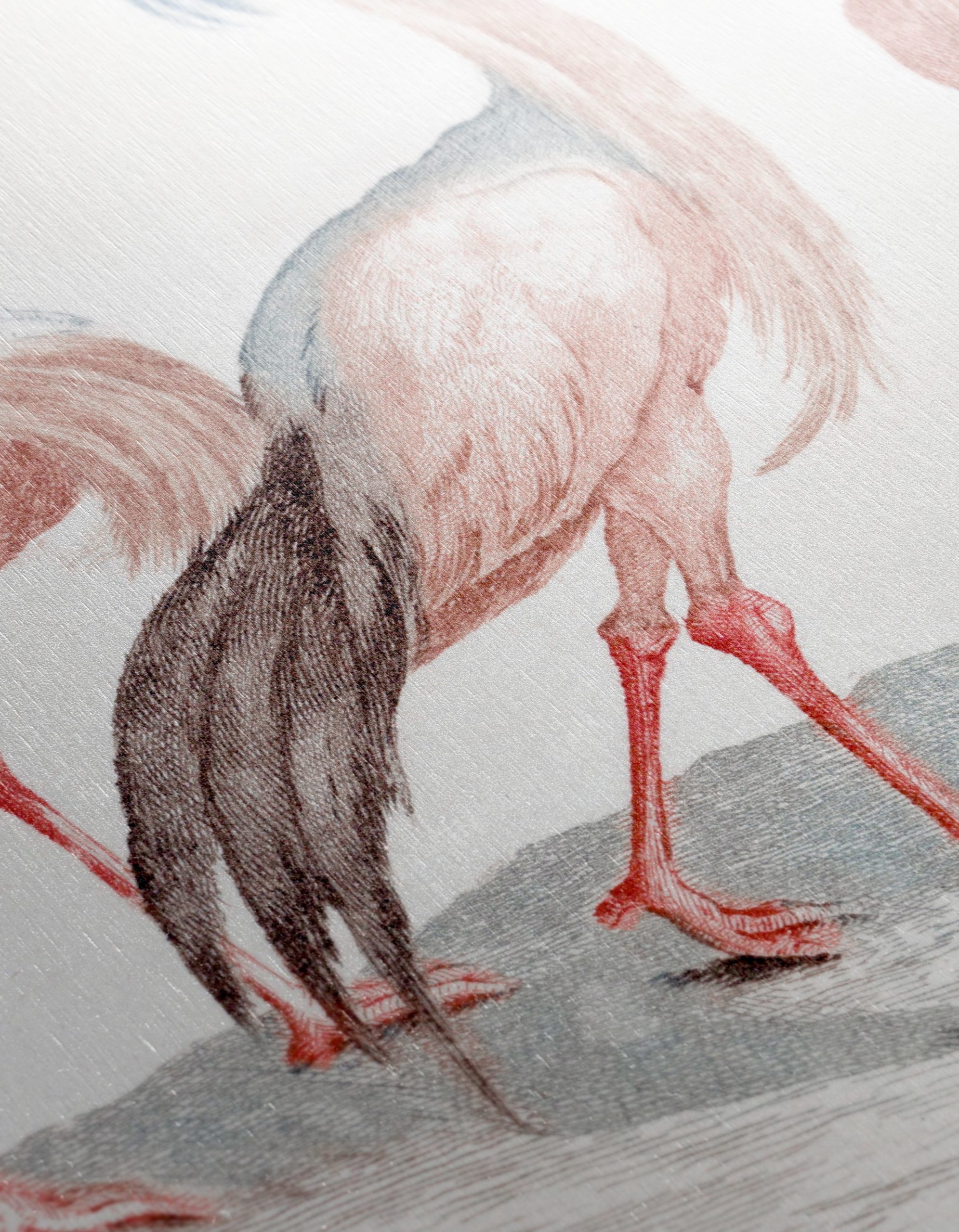 Elegant Bird Illustrations in Soft Hues - Image 12