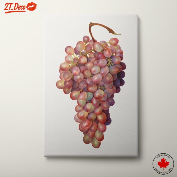 Realistic Abstract Grapes Art