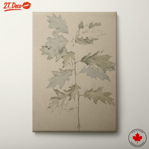 Elegant Leaf Botanical Art