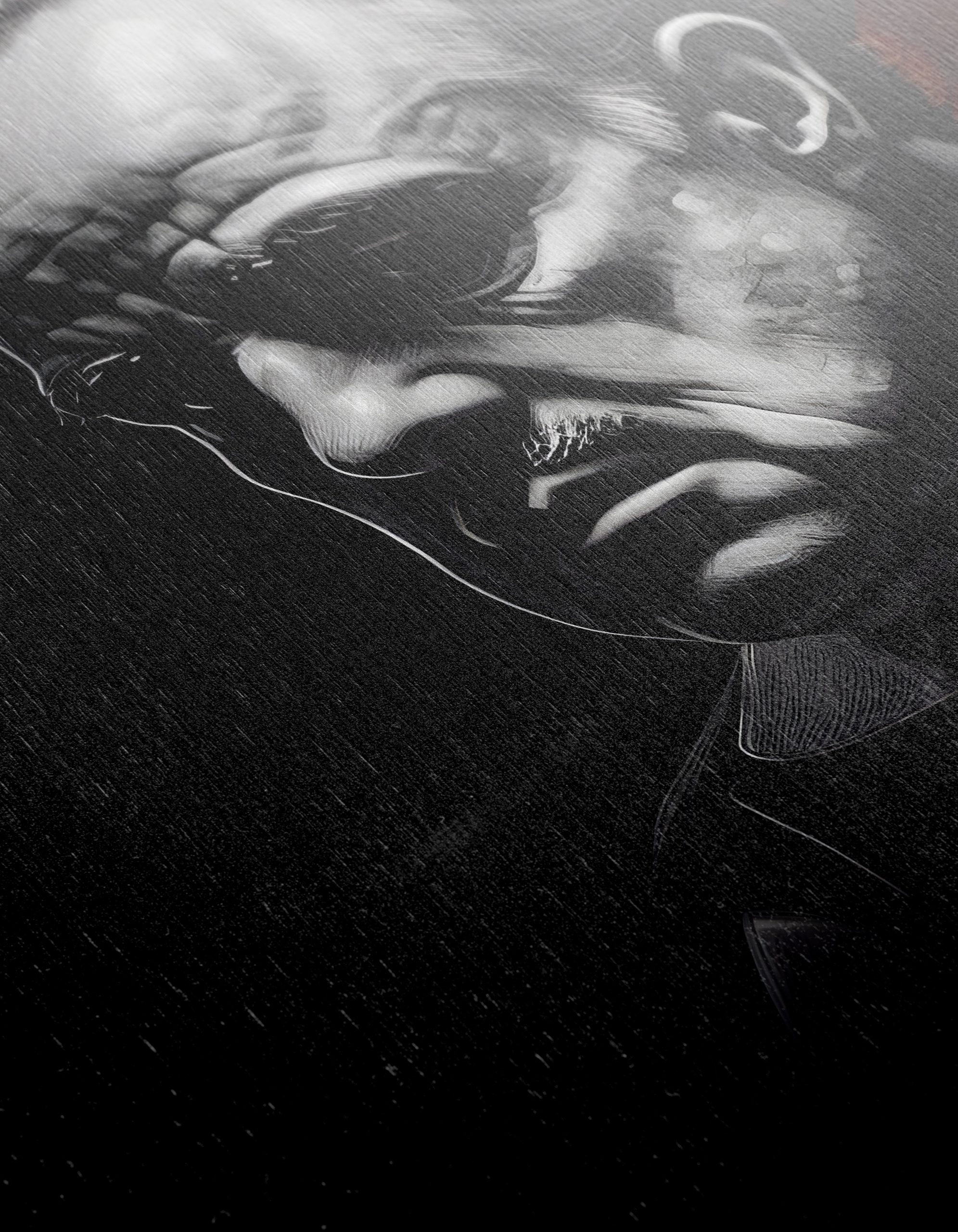 Classic Cinema Character Artwork in Monochrome - Image 12