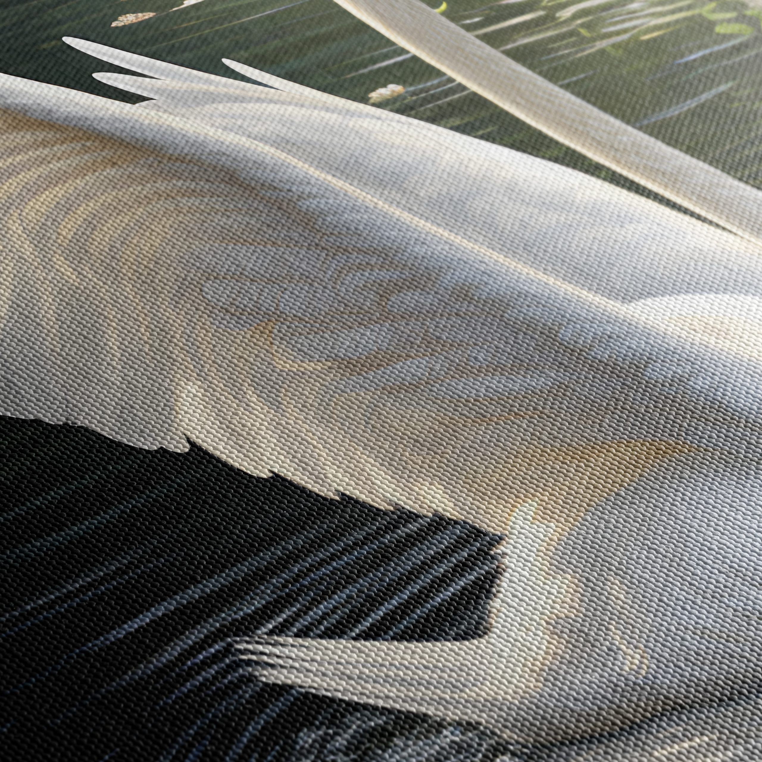 Graceful Swan Reflecting in Water - Image 5