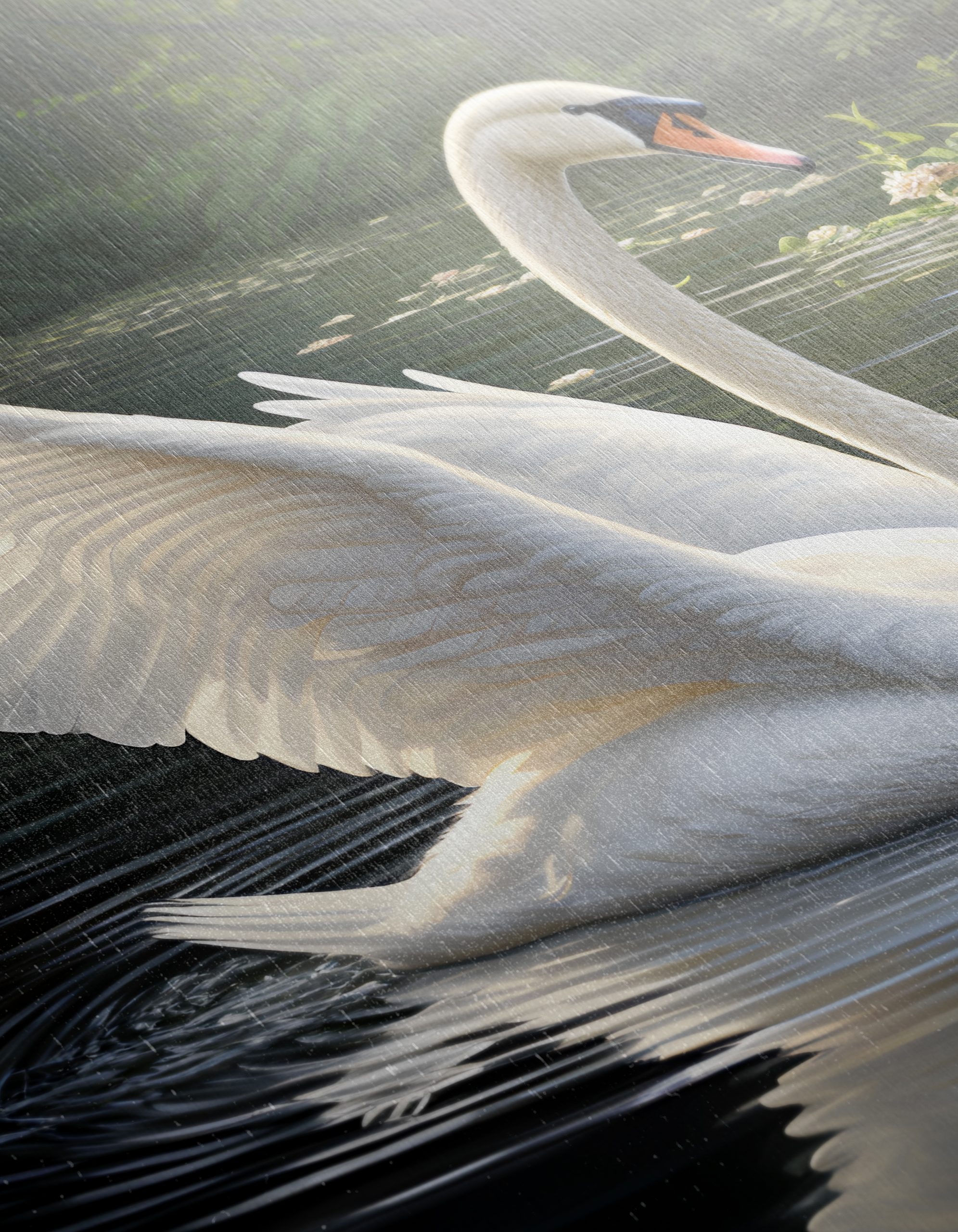 Graceful Swan Reflecting in Water - Image 12