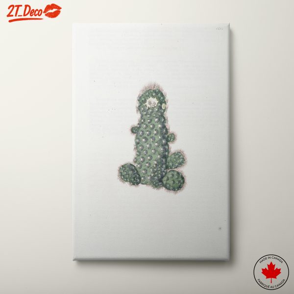 Elegant Cactus Botanical Art