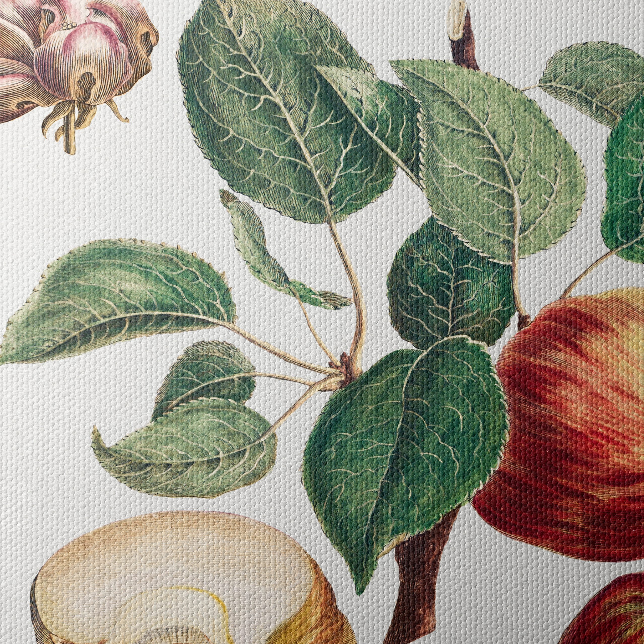 Detailed Botanical Illustration of Apples - Image 4