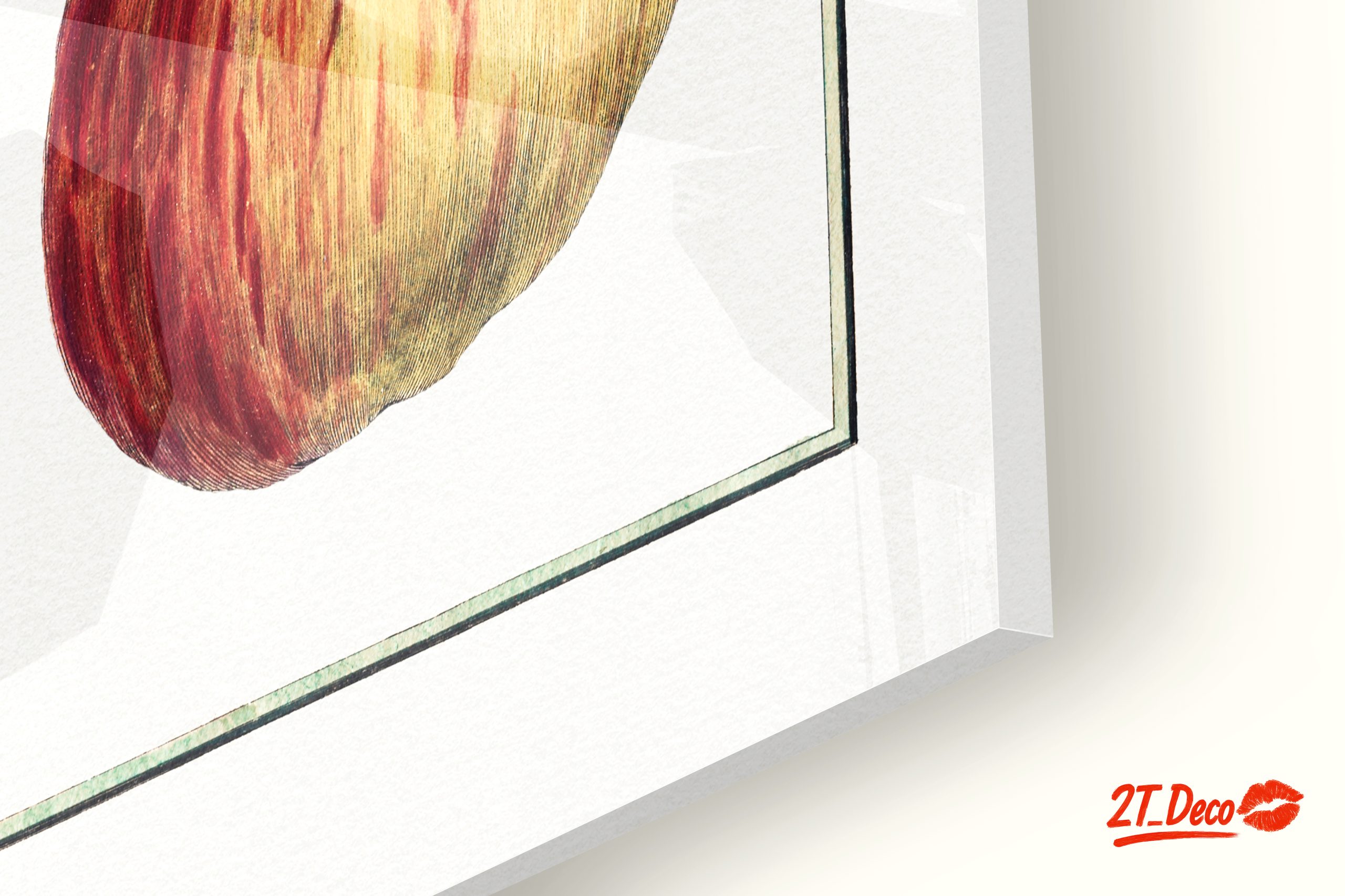 Detailed Botanical Illustration of Apples - Image 9