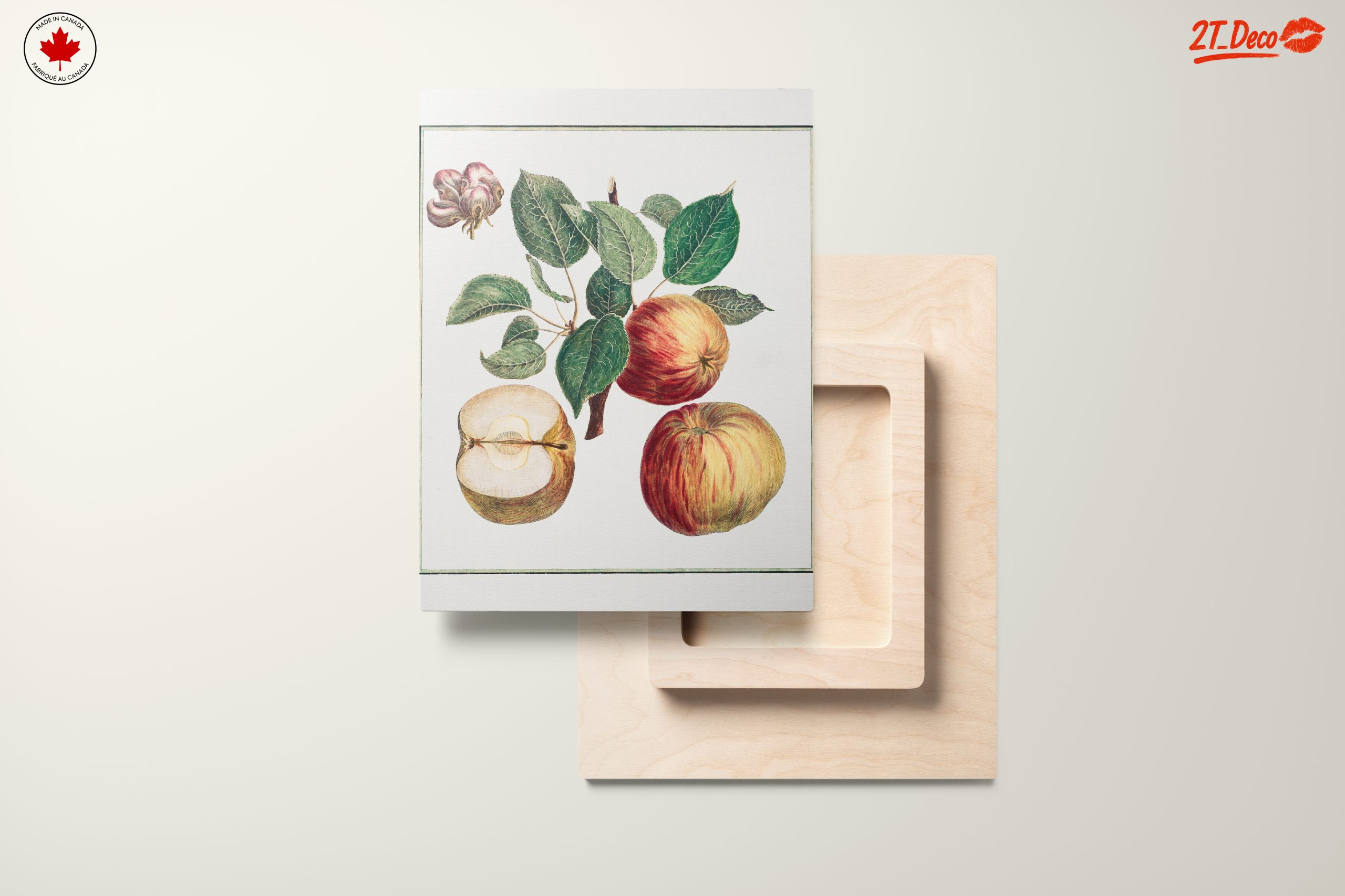 Detailed Botanical Illustration of Apples - Image 11