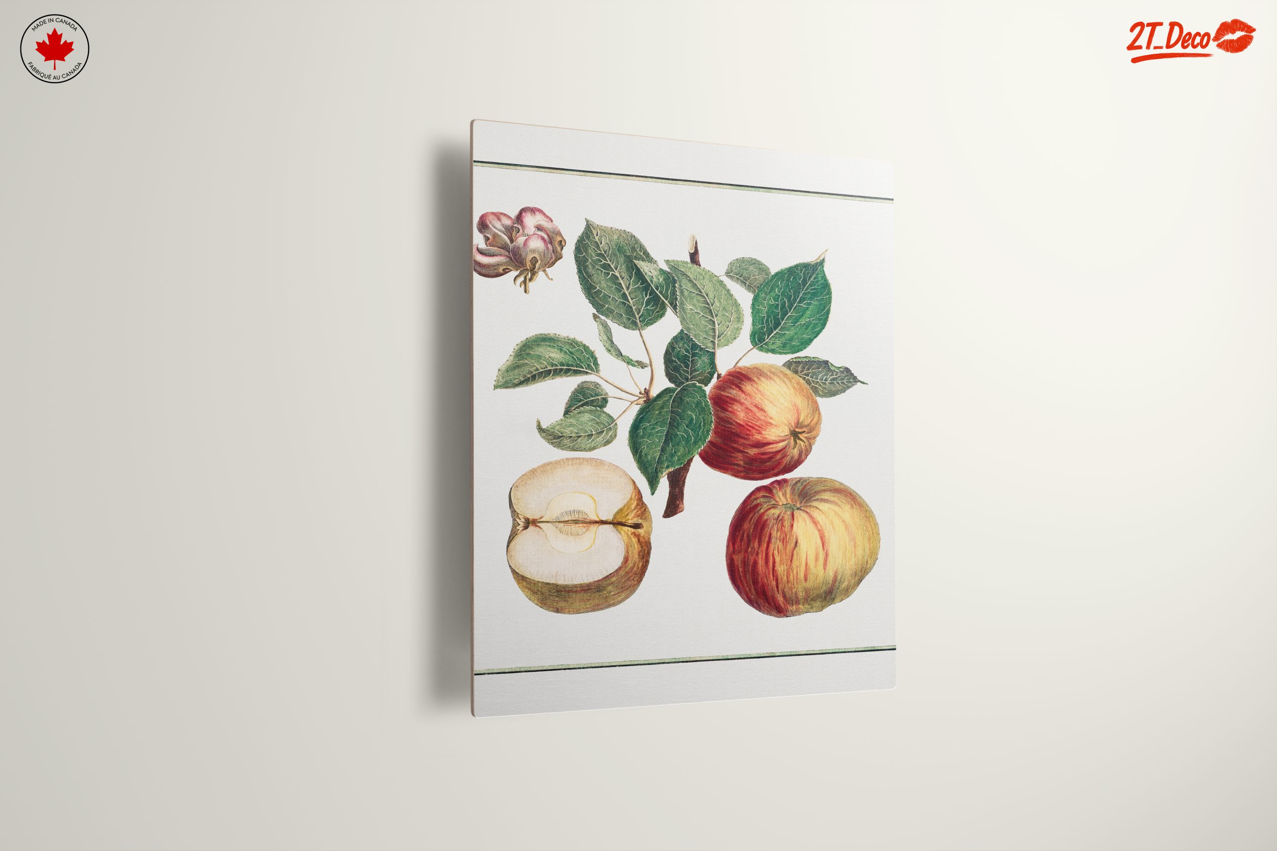 Detailed Botanical Illustration of Apples - Image 13