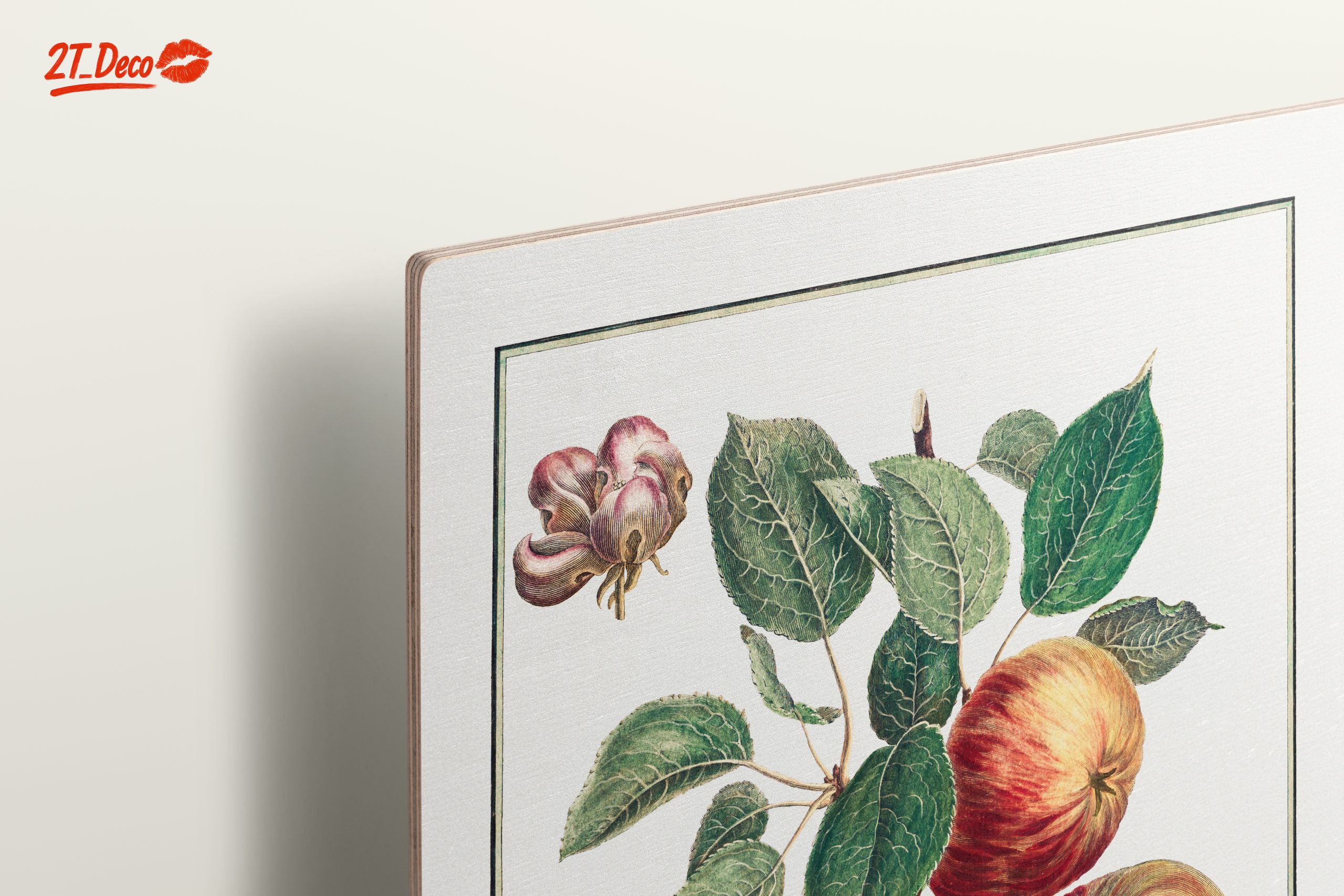 Detailed Botanical Illustration of Apples - Image 15