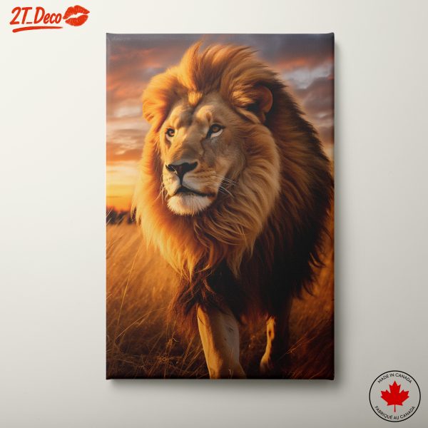 Majestic Lion Portrait at Sunset