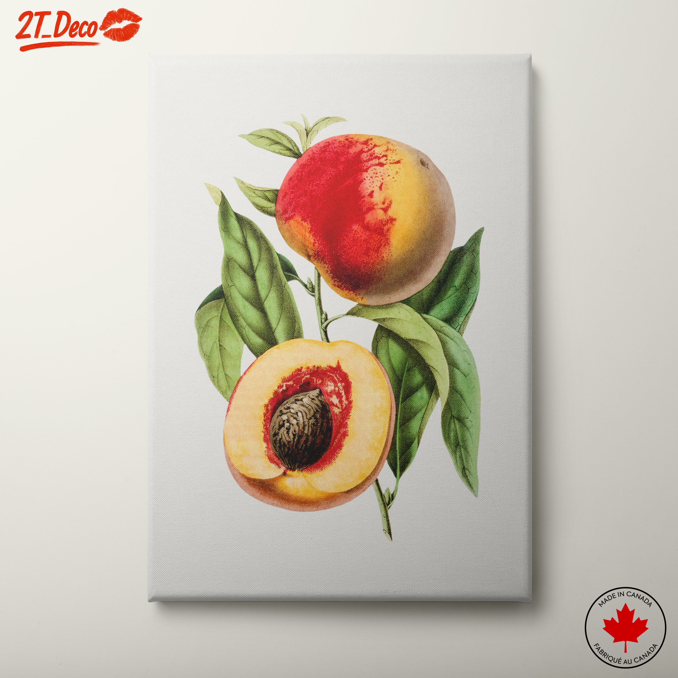 Realistic Botanical Illustration of Peaches